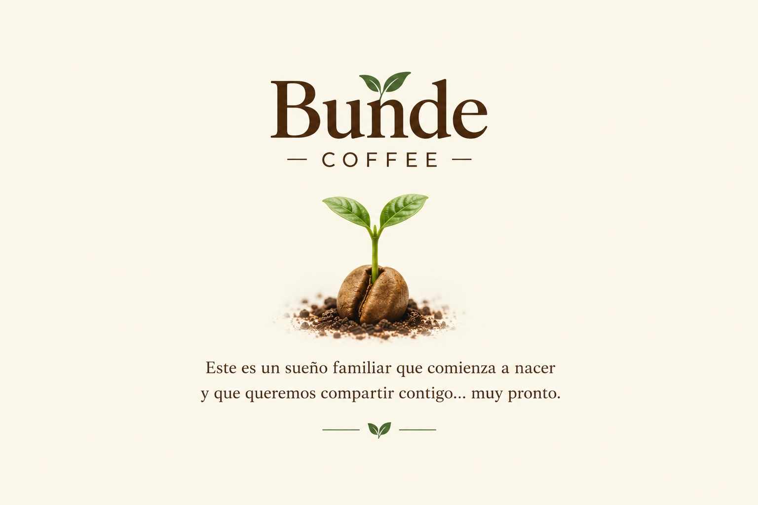 Bunde Coffee. Este es un sueño familiar que comienza a nacer y que queremos compartir contigo... muy pronto. Una pequeña planta de café nace de su semilla.